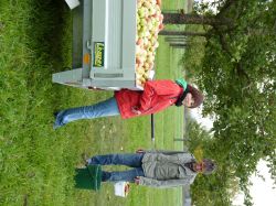Obsternte Und Maischen 2012 11